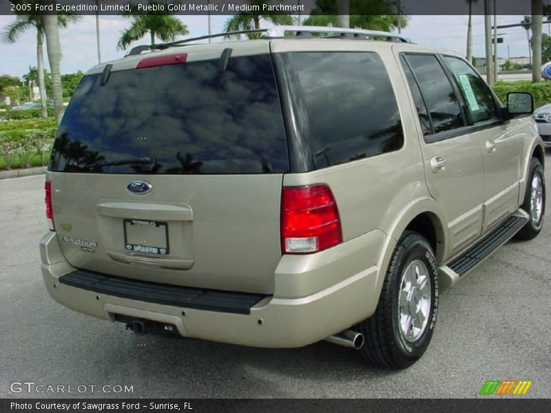 Pueblo Gold Metallic / Medium Parchment 2005 Ford Expedition Limited