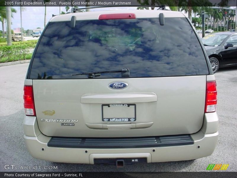 Pueblo Gold Metallic / Medium Parchment 2005 Ford Expedition Limited