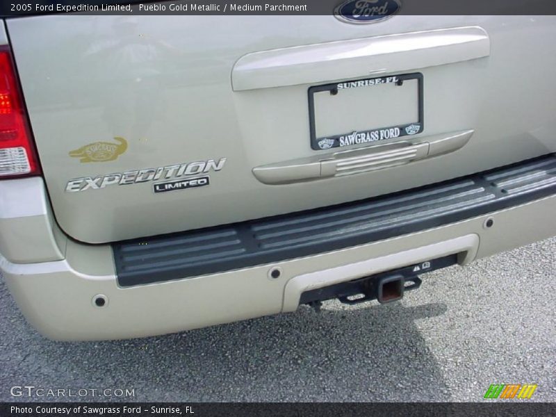 Pueblo Gold Metallic / Medium Parchment 2005 Ford Expedition Limited