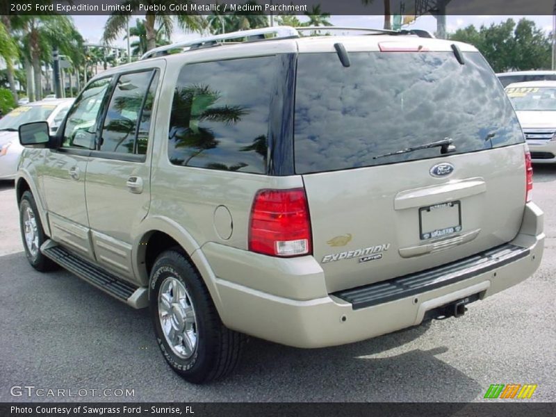 Pueblo Gold Metallic / Medium Parchment 2005 Ford Expedition Limited