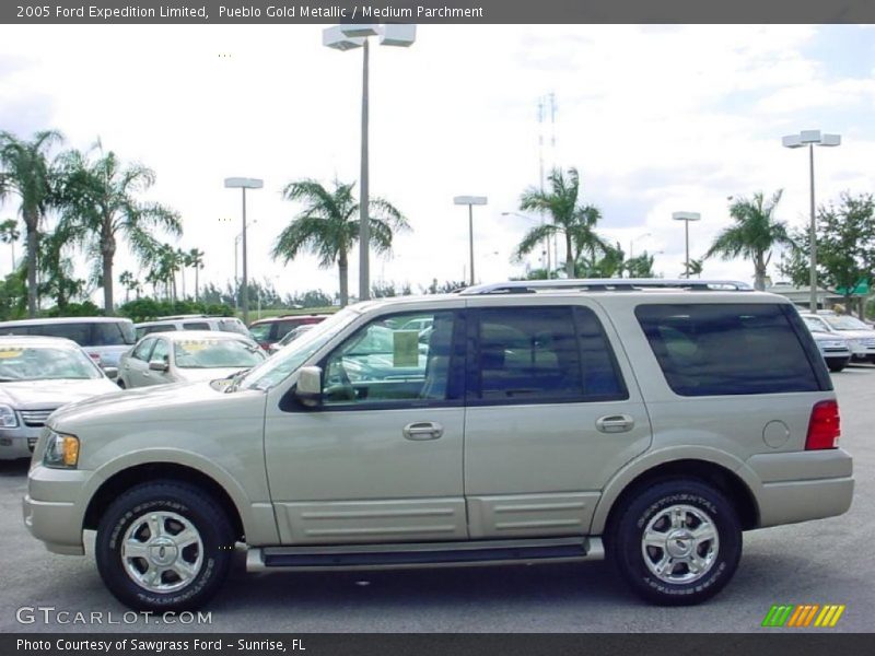 Pueblo Gold Metallic / Medium Parchment 2005 Ford Expedition Limited