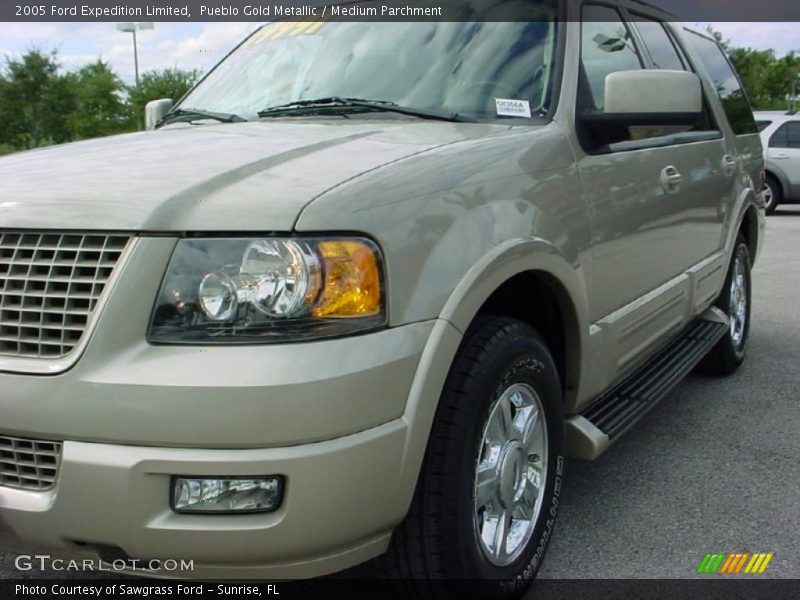 Pueblo Gold Metallic / Medium Parchment 2005 Ford Expedition Limited