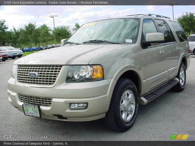 Pueblo Gold Metallic / Medium Parchment 2005 Ford Expedition Limited