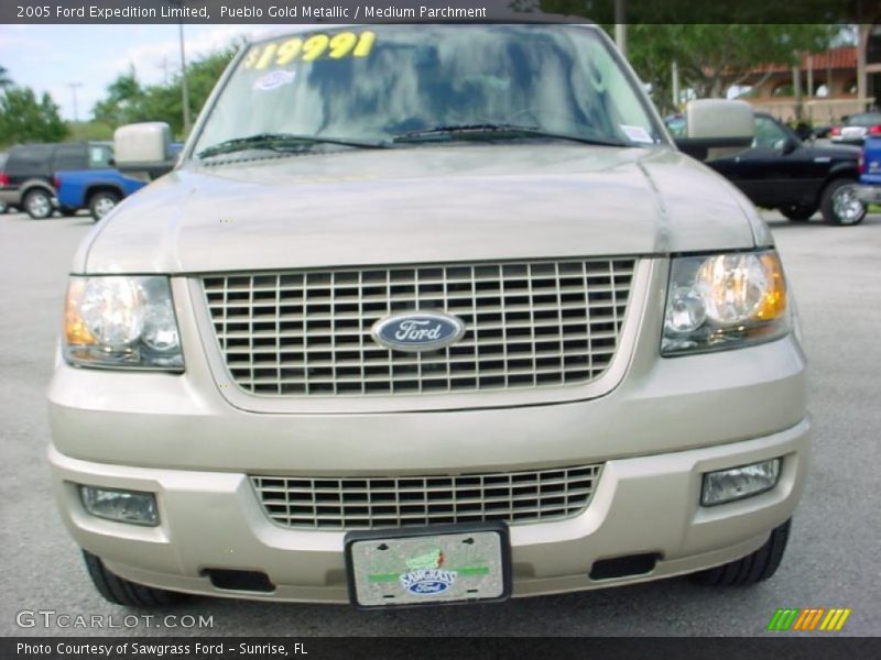 Pueblo Gold Metallic / Medium Parchment 2005 Ford Expedition Limited