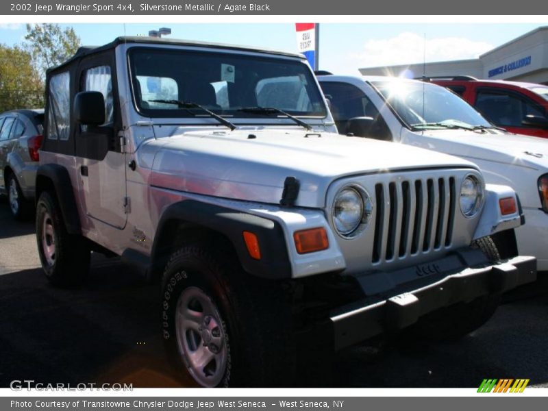 Silverstone Metallic / Agate Black 2002 Jeep Wrangler Sport 4x4
