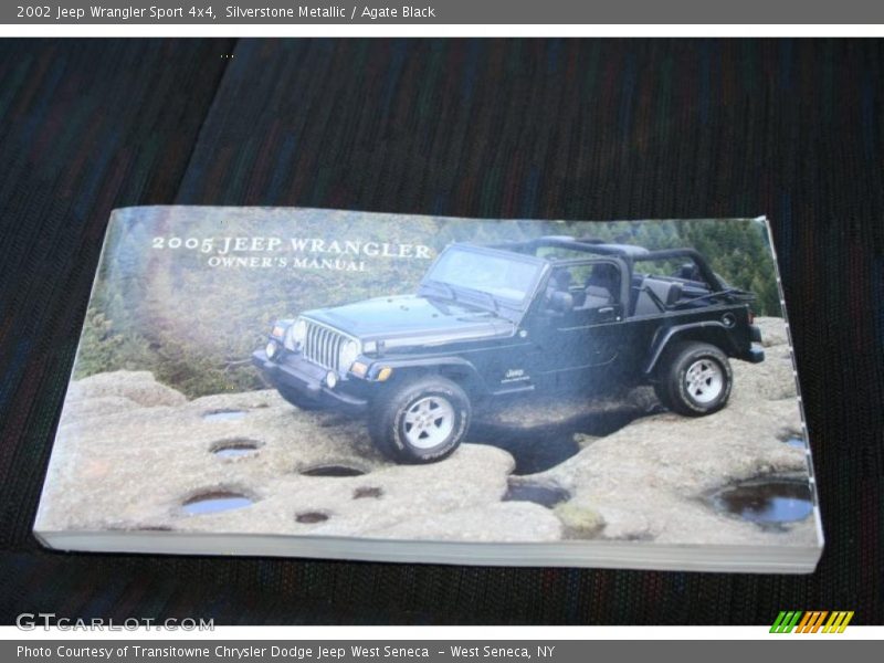 Silverstone Metallic / Agate Black 2002 Jeep Wrangler Sport 4x4