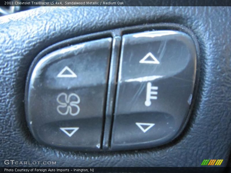 Sandalwood Metallic / Medium Oak 2003 Chevrolet TrailBlazer LS 4x4