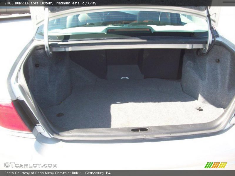 Platinum Metallic / Gray 2005 Buick LeSabre Custom