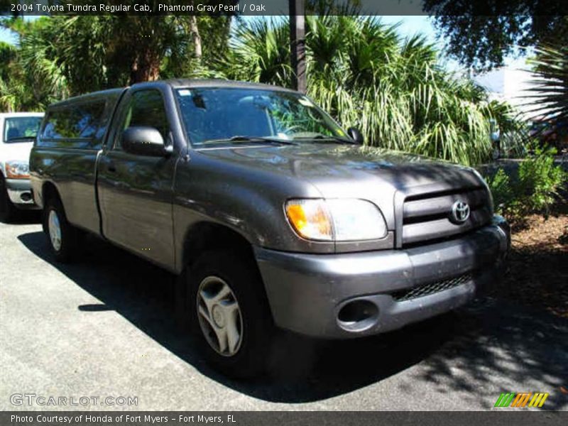 Phantom Gray Pearl / Oak 2004 Toyota Tundra Regular Cab