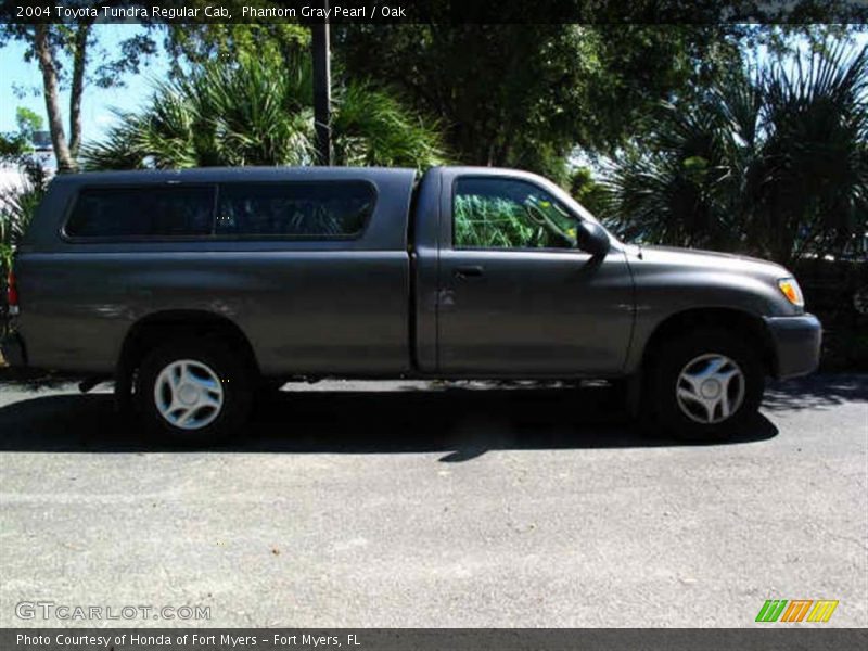 Phantom Gray Pearl / Oak 2004 Toyota Tundra Regular Cab