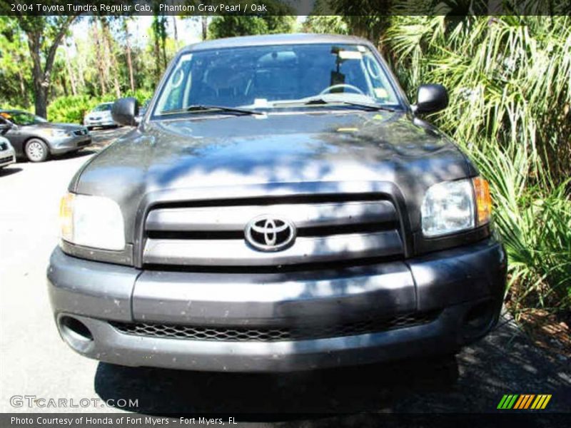 Phantom Gray Pearl / Oak 2004 Toyota Tundra Regular Cab