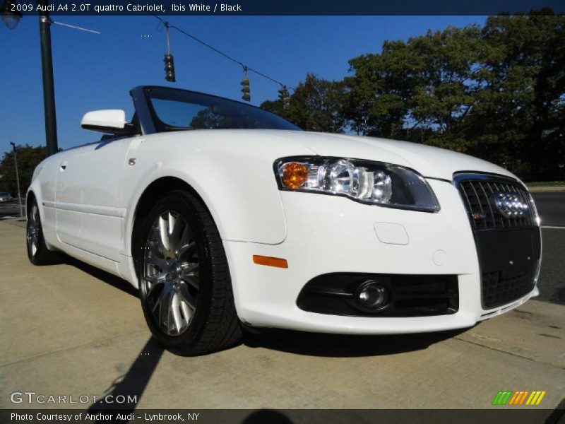 Ibis White / Black 2009 Audi A4 2.0T quattro Cabriolet
