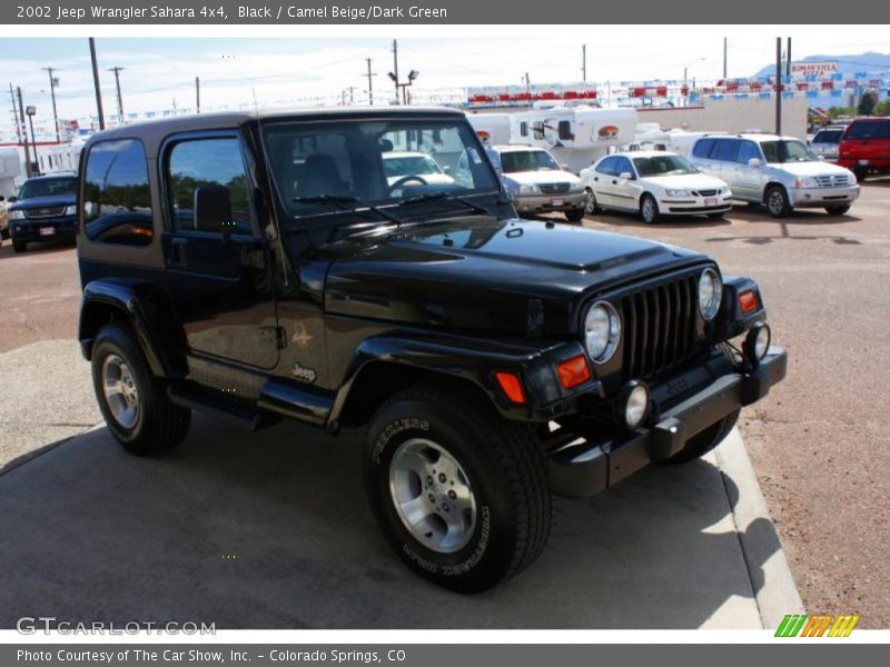 Black / Camel Beige/Dark Green 2002 Jeep Wrangler Sahara 4x4