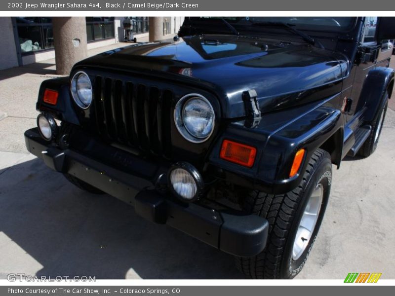 Black / Camel Beige/Dark Green 2002 Jeep Wrangler Sahara 4x4