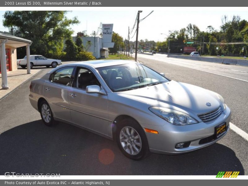 Millennium Silver Metallic / Black 2003 Lexus ES 300