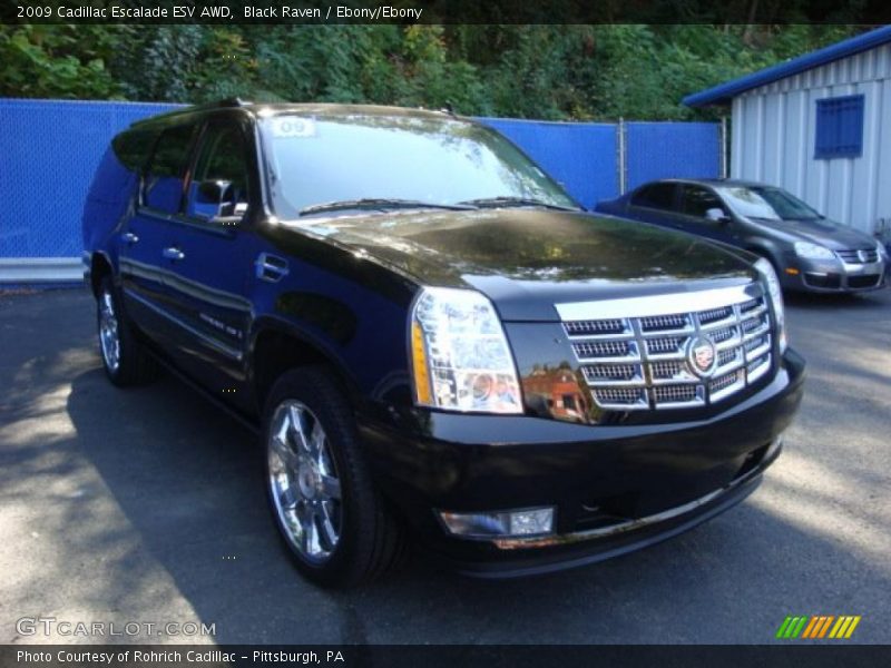 Black Raven / Ebony/Ebony 2009 Cadillac Escalade ESV AWD