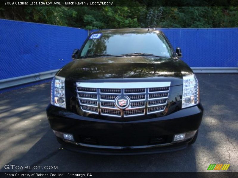 Black Raven / Ebony/Ebony 2009 Cadillac Escalade ESV AWD