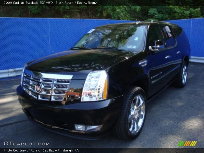 Black Raven / Ebony/Ebony 2009 Cadillac Escalade ESV AWD