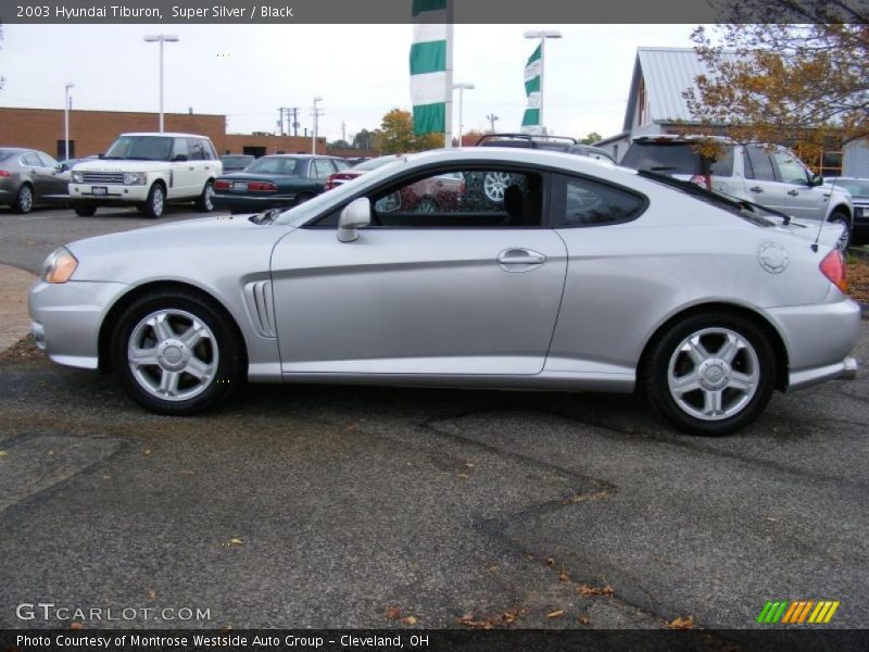  2003 Tiburon  Super Silver