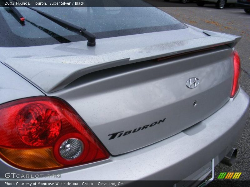 Super Silver / Black 2003 Hyundai Tiburon