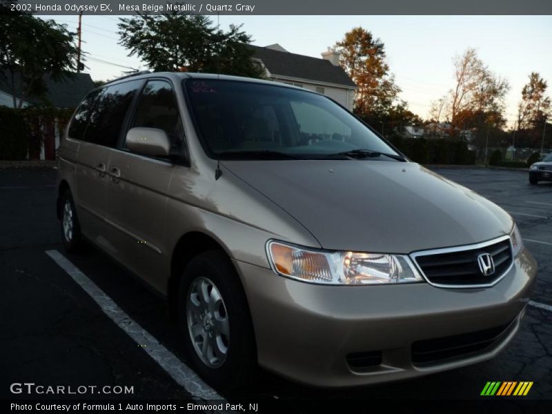 Mesa Beige Metallic / Quartz Gray 2002 Honda Odyssey EX