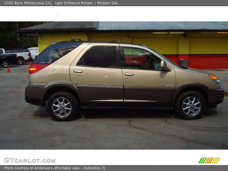 Light Driftwood Metallic / Medium Oak 2003 Buick Rendezvous CXL