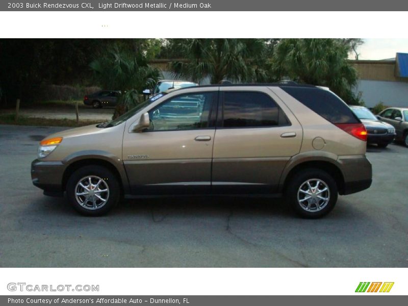 Light Driftwood Metallic / Medium Oak 2003 Buick Rendezvous CXL