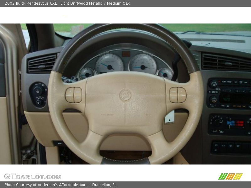 Light Driftwood Metallic / Medium Oak 2003 Buick Rendezvous CXL