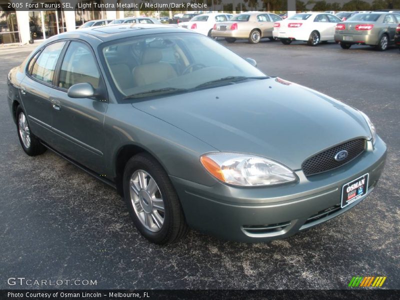 Light Tundra Metallic / Medium/Dark Pebble 2005 Ford Taurus SEL