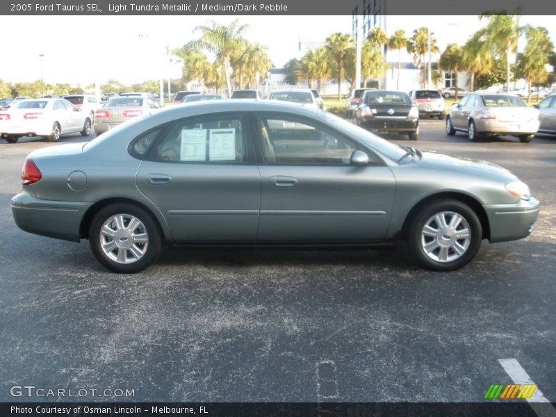 Light Tundra Metallic / Medium/Dark Pebble 2005 Ford Taurus SEL