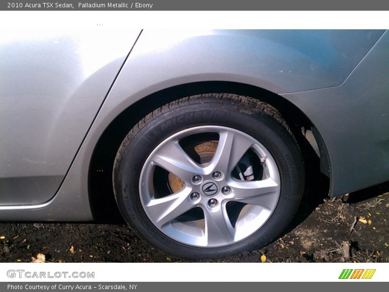 Palladium Metallic / Ebony 2010 Acura TSX Sedan