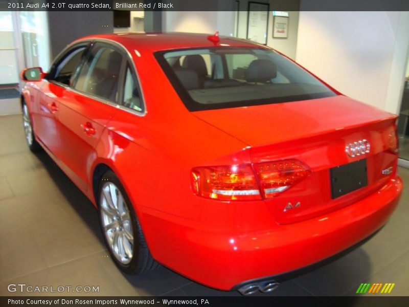 Brilliant Red / Black 2011 Audi A4 2.0T quattro Sedan
