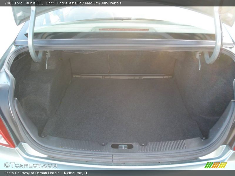 Light Tundra Metallic / Medium/Dark Pebble 2005 Ford Taurus SEL