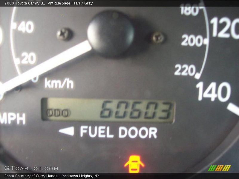 Antique Sage Pearl / Gray 2000 Toyota Camry LE