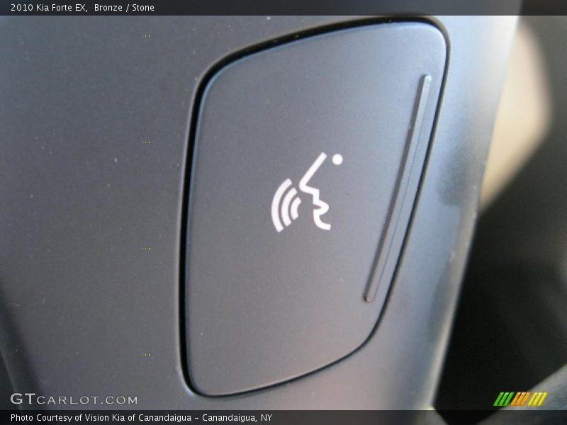 Bronze / Stone 2010 Kia Forte EX