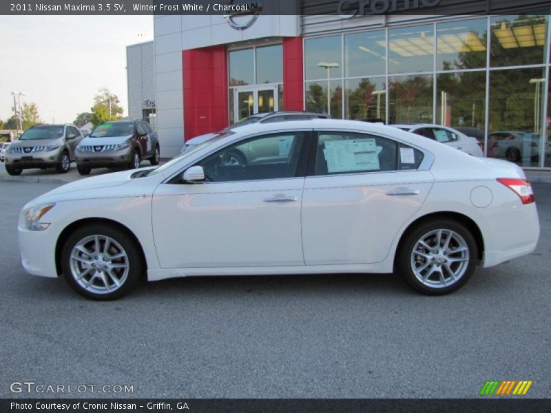 Winter Frost White / Charcoal 2011 Nissan Maxima 3.5 SV