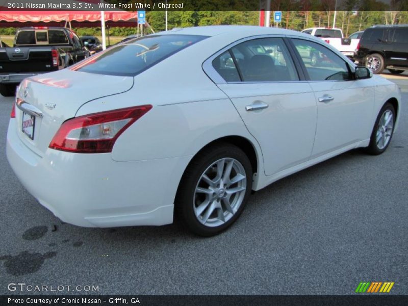 Winter Frost White / Charcoal 2011 Nissan Maxima 3.5 SV