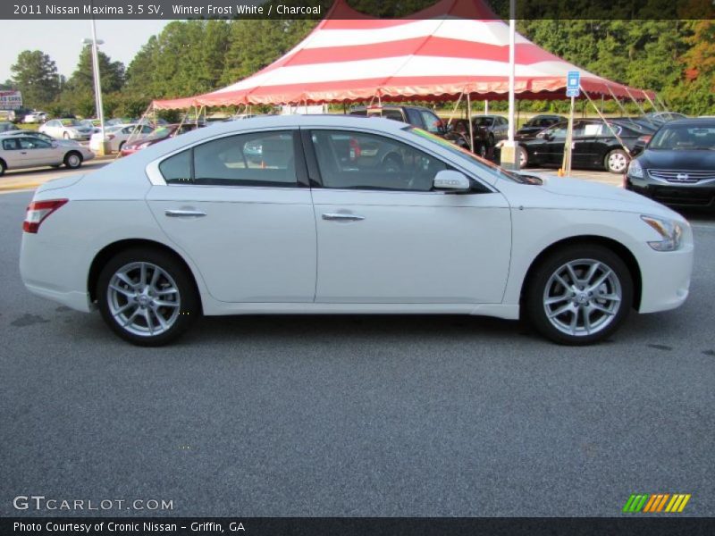 Winter Frost White / Charcoal 2011 Nissan Maxima 3.5 SV