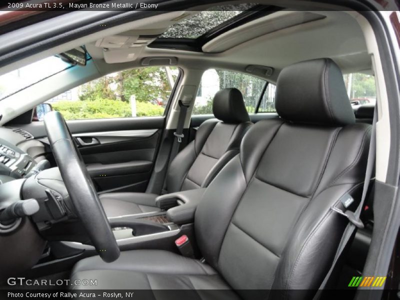 Mayan Bronze Metallic / Ebony 2009 Acura TL 3.5