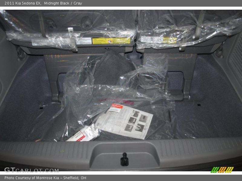 Midnight Black / Gray 2011 Kia Sedona EX