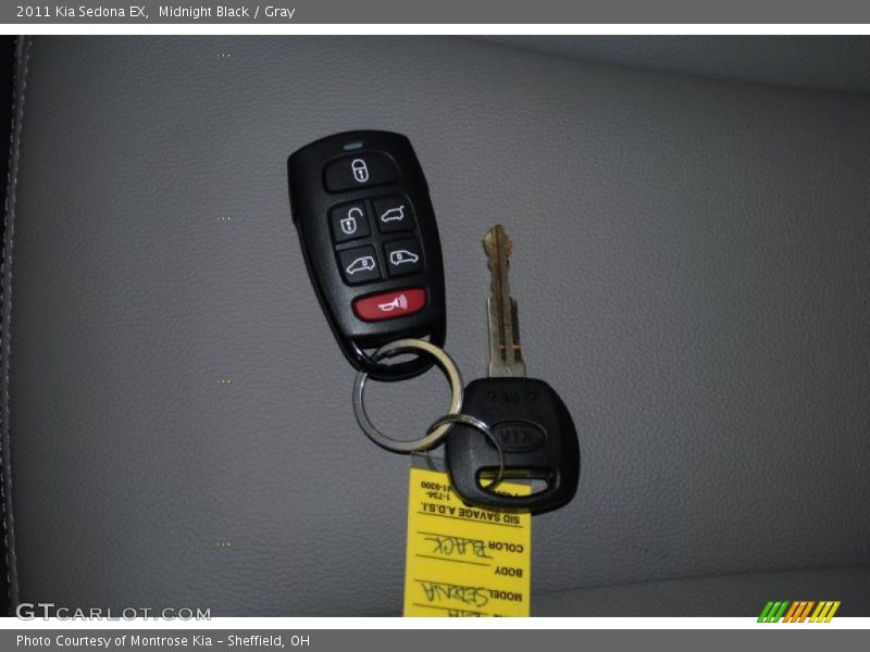 Midnight Black / Gray 2011 Kia Sedona EX