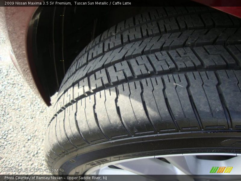 Tuscan Sun Metallic / Caffe Latte 2009 Nissan Maxima 3.5 SV Premium