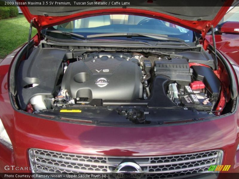  2009 Maxima 3.5 SV Premium Engine - 3.5 Liter DOHC 24-Valve CVTCS V6