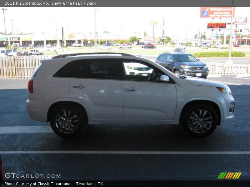 Snow White Pearl / Black 2011 Kia Sorento SX V6