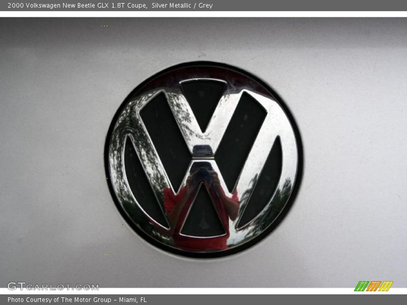Silver Metallic / Grey 2000 Volkswagen New Beetle GLX 1.8T Coupe