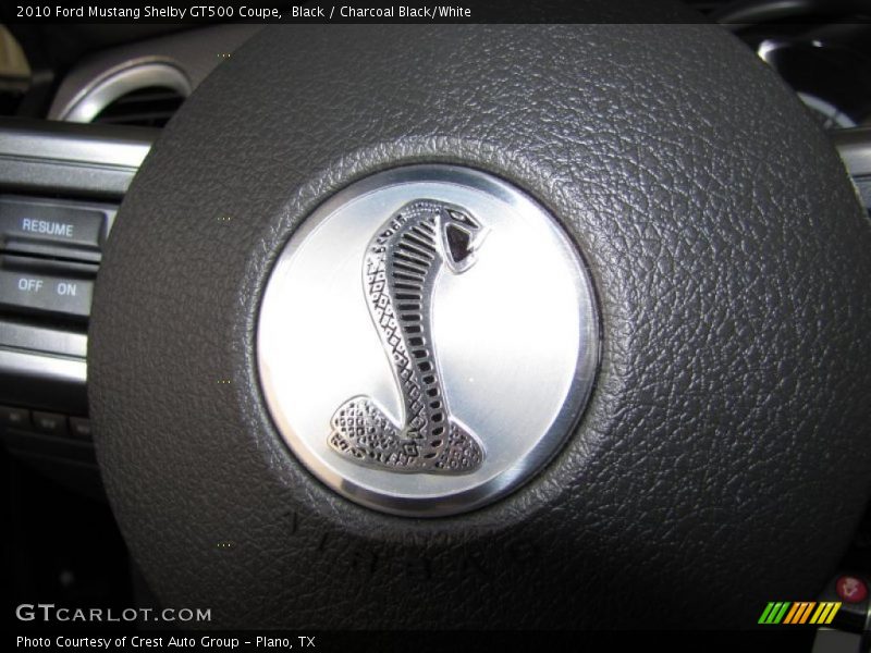 Black / Charcoal Black/White 2010 Ford Mustang Shelby GT500 Coupe