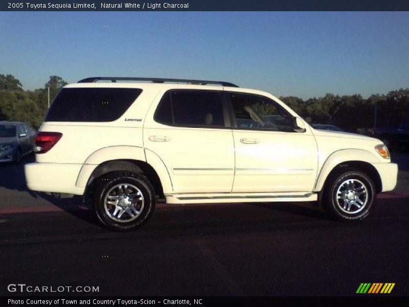 Natural White / Light Charcoal 2005 Toyota Sequoia Limited