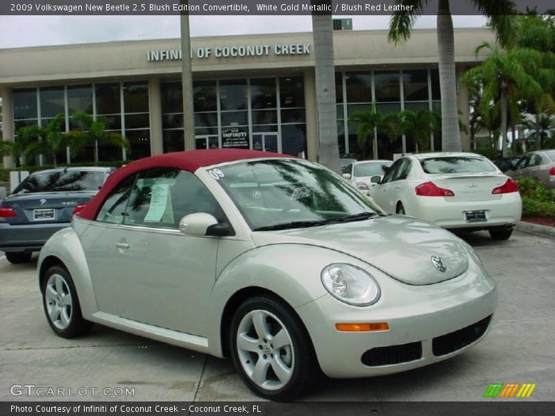 White Gold Metallic / Blush Red Leather 2009 Volkswagen New Beetle 2.5 Blush Edition Convertible