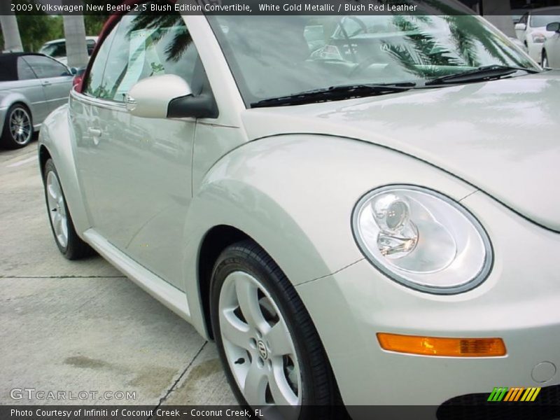 White Gold Metallic / Blush Red Leather 2009 Volkswagen New Beetle 2.5 Blush Edition Convertible
