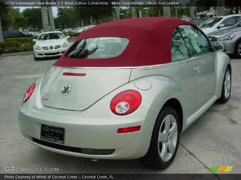 White Gold Metallic / Blush Red Leather 2009 Volkswagen New Beetle 2.5 Blush Edition Convertible